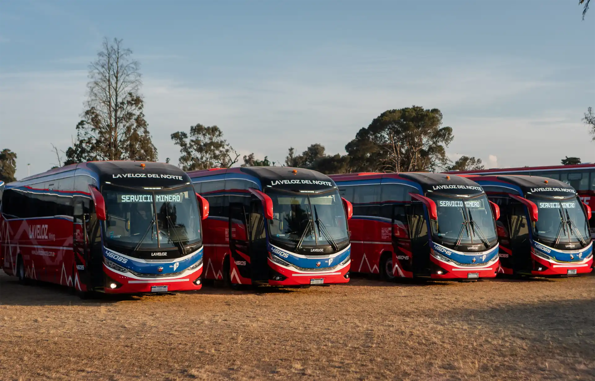 MARCOPOLO VIAGGIO G8 1050 — imagen 1